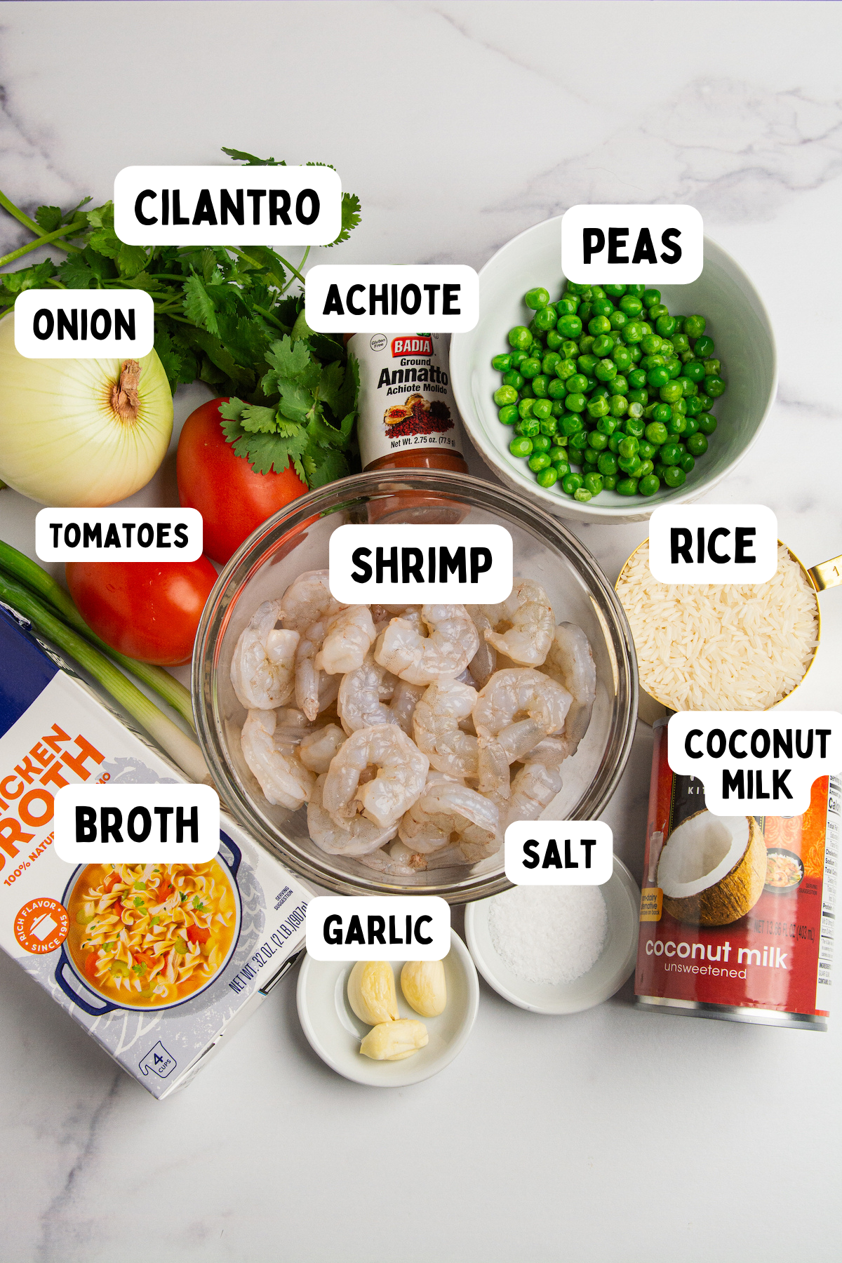 Ingredients for making arroz con camarones or shrimp and rice. Rice, shrimp, onion, garlic, tomatoes, cilantro, sweet peas, achiote, chicken broth, coconut milk, and salt.