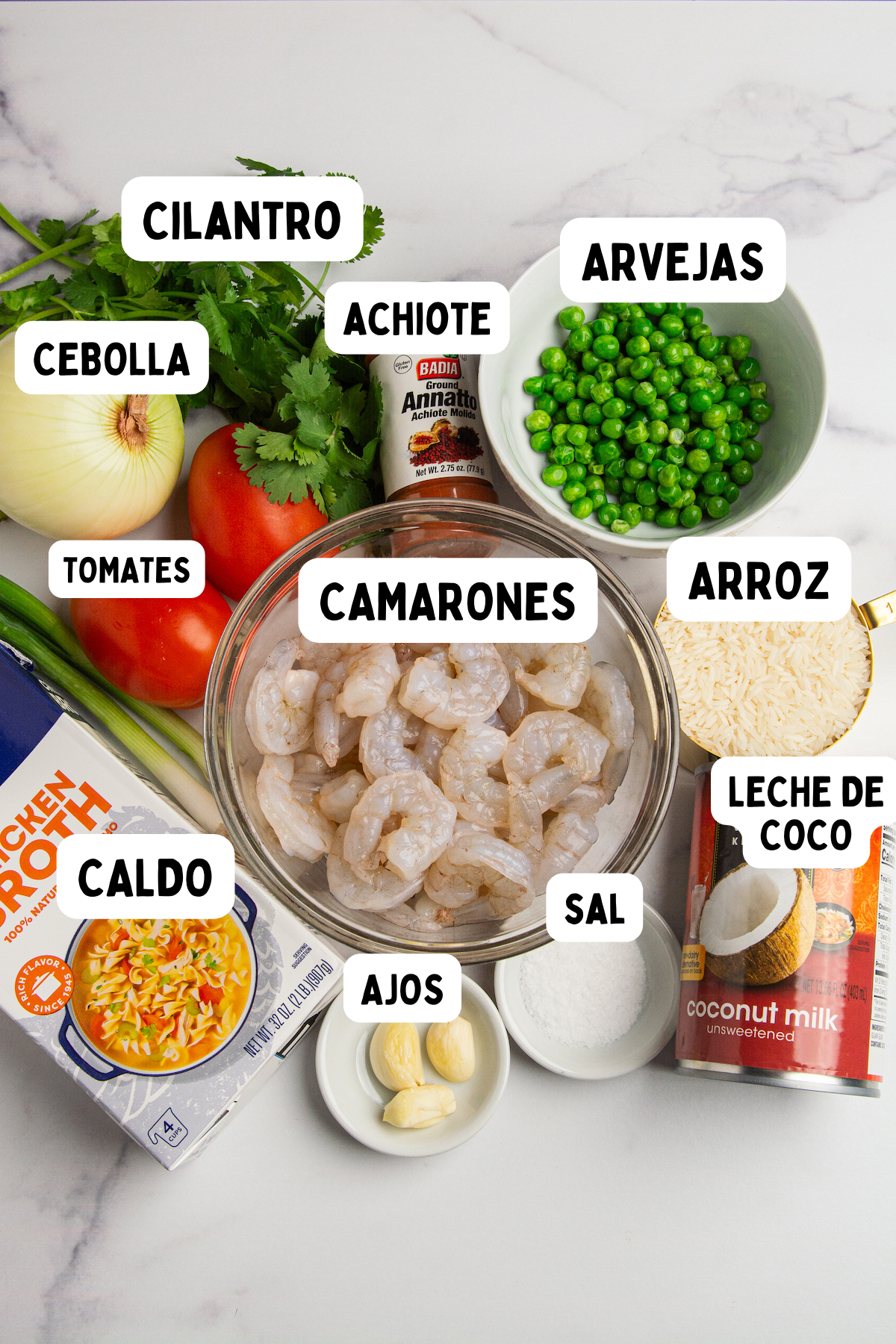 Ingredients for making arroz con camarones or shrimp and rice. Rice, shrimp, onion, garlic, tomatoes, cilantro, sweet peas, achiote, chicken broth, coconut milk, and salt labeled in Spanish.