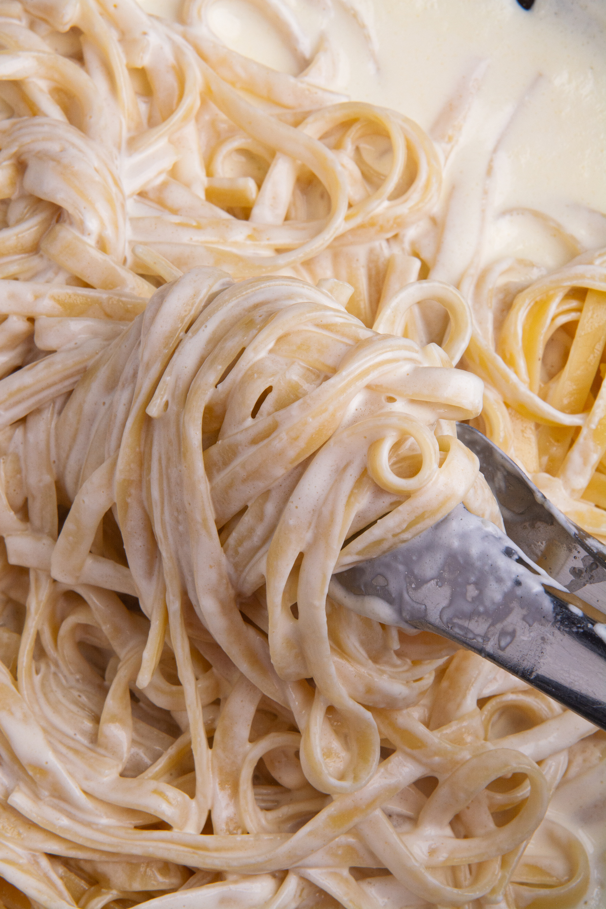 A pair of tongs holding fettuccine Alfredo drenched in Alfredo sauce.