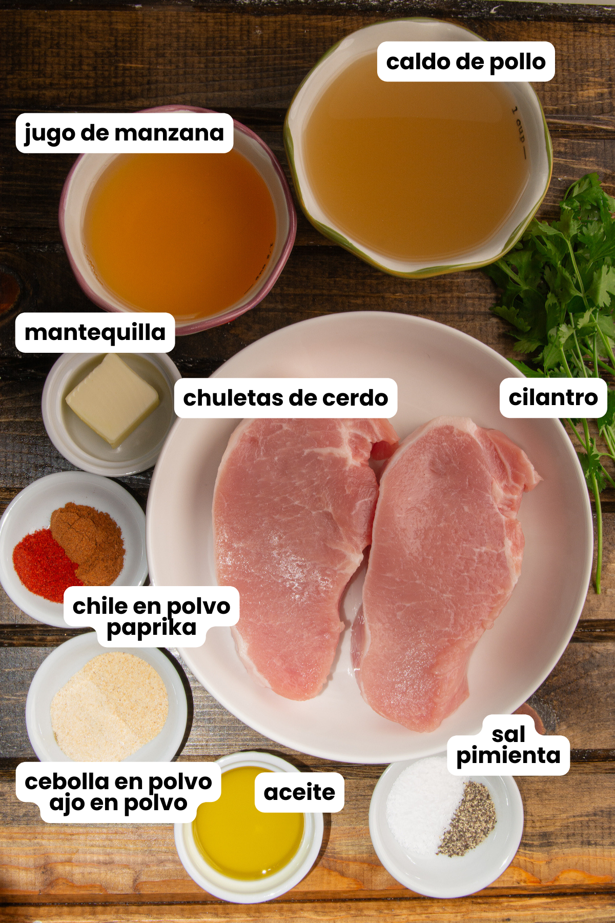 Ingredients for making pan seared pork chops: Two boneless pork chops, chicken stock, apple juice, butter, chili powder, paprika, onion powder, garlic powder, oil, salt and pepper.