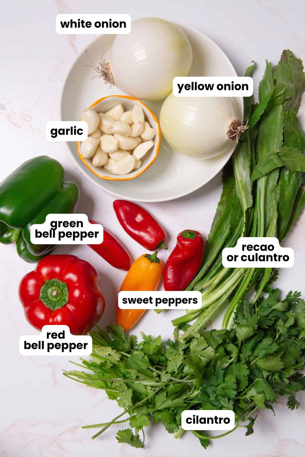 Ingredients to make Puerto Rican sofrito, white onion, yellow onion, garlic, green bell pepper, red bell pepper, ajís dulces, recao, and cilantro.