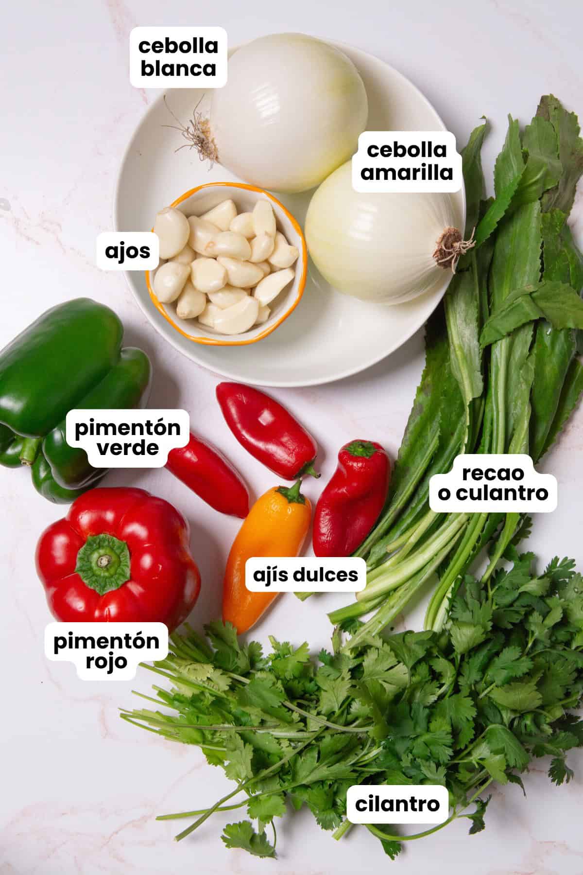 Ingredients to make Puerto Rican sofrito, white onion, yellow onion, garlic, green bell pepper, red bell pepper, ajís dulces, recao, and cilantro.